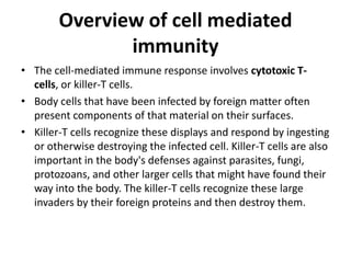 Overview of cell mediated
immunity
• The cell-mediated immune response involves cytotoxic T-
cells, or killer-T cells.
• Body cells that have been infected by foreign matter often
present components of that material on their surfaces.
• Killer-T cells recognize these displays and respond by ingesting
or otherwise destroying the infected cell. Killer-T cells are also
important in the body's defenses against parasites, fungi,
protozoans, and other larger cells that might have found their
way into the body. The killer-T cells recognize these large
invaders by their foreign proteins and then destroy them.
 