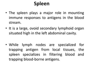 Spleen
• The spleen plays a major role in mounting
immune responses to antigens in the blood
stream.
• It is a large, ovoid secondary lymphoid organ
situated high in the left abdominal cavity.
• While lymph nodes are specialized for
trapping antigen from local tissues, the
spleen specializes in filtering blood and
trapping blood-borne antigens.
 