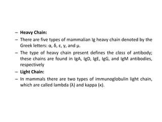 – Heavy Chain:
– There are five types of mammalian Ig heavy chain denoted by the
Greek letters: α, δ, ε, γ, and μ.
– The type of heavy chain present defines the class of antibody;
these chains are found in IgA, IgD, IgE, IgG, and IgM antibodies,
respectively
– Light Chain:
– In mammals there are two types of immunoglobulin light chain,
which are called lambda (λ) and kappa (κ).
 