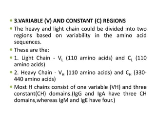  3.VARIABLE (V) AND CONSTANT (C) REGIONS
 The heavy and light chain could be divided into two
regions based on variability in the amino acid
sequences.
 These are the:
 1. Light Chain - VL (110 amino acids) and CL (110
amino acids)
 2. Heavy Chain - VH (110 amino acids) and CH (330-
440 amino acids)
 Most H chains consist of one variable (VH) and three
constant(CH) domains.(IgG and IgA have three CH
domains,whereas IgM and IgE have four.)
 