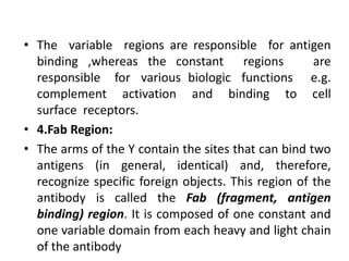 • The variable regions are responsible for antigen
binding ,whereas the constant regions are
responsible for various biologic functions e.g.
complement activation and binding to cell
surface receptors.
• 4.Fab Region:
• The arms of the Y contain the sites that can bind two
antigens (in general, identical) and, therefore,
recognize specific foreign objects. This region of the
antibody is called the Fab (fragment, antigen
binding) region. It is composed of one constant and
one variable domain from each heavy and light chain
of the antibody
 