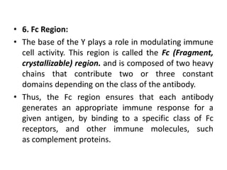 • 6. Fc Region:
• The base of the Y plays a role in modulating immune
cell activity. This region is called the Fc (Fragment,
crystallizable) region. and is composed of two heavy
chains that contribute two or three constant
domains depending on the class of the antibody.
• Thus, the Fc region ensures that each antibody
generates an appropriate immune response for a
given antigen, by binding to a specific class of Fc
receptors, and other immune molecules, such
as complement proteins.
 