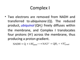 Complex I
• Two electrons are removed from NADH and
transferred to ubiquinone (Q). The reduced
product, ubiquinol (QH2) freely diffuses within
the membrane, and Complex I translocates
four protons (H+
) across the membrane, thus
producing a proton gradient.
 