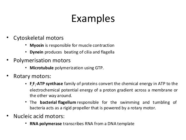 atp examples