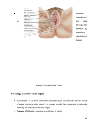 • Provides
nourishment
to the baby
through milk
secreted by
mammary
glands in the
breast.
Anatomy (External Female Organ)
Physiology (External Female Organ)
 Mons Pubis – a.k.a. Mons Veneris that protects the pubic bone and vulva from the impact
of sexual intercourse. After puberty, it is covered by pubic hair (responsible for not easily
harboring the microorganisms in the vagina.
 Prepuce of Clitoris – protective cover of glans of clitoris.
42
 