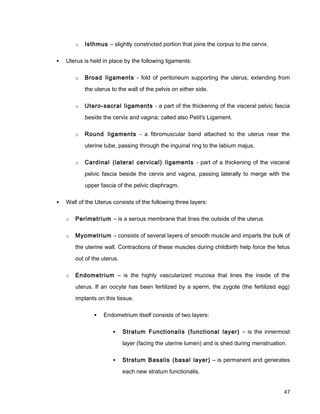 o Isthmus – slightly constricted portion that joins the corpus to the cervix.
 Uterus is held in place by the following ligaments:
o Broad ligaments - fold of peritoneum supporting the uterus, extending from
the uterus to the wall of the pelvis on either side.
o Utero-sacral ligaments - a part of the thickening of the visceral pelvic fascia
beside the cervix and vagina; called also Petit's Ligament.
o Round ligaments - a fibromuscular band attached to the uterus near the
uterine tube, passing through the inguinal ring to the labium majus.
o Cardinal (lateral cervical) ligaments - part of a thickening of the visceral
pelvic fascia beside the cervix and vagina, passing laterally to merge with the
upper fascia of the pelvic diaphragm.
 Wall of the Uterus consists of the following three layers:
o Perimetrium – is a serous membrane that lines the outside of the uterus.
o Myometrium – consists of several layers of smooth muscle and imparts the bulk of
the uterine wall. Contractions of these muscles during childbirth help force the fetus
out of the uterus.
o Endometrium – is the highly vascularized mucosa that lines the inside of the
uterus. If an oocyte has been fertilized by a sperm, the zygote (the fertilized egg)
implants on this tissue.
 Endometrium itself consists of two layers:
 Stratum Functionalis (functional layer) – is the innermost
layer (facing the uterine lumen) and is shed during menstruation.
 Stratum Basalis (basal layer) – is permanent and generates
each new stratum functionalis.
47
 
