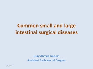 Common small and large
intestinal surgical diseases
Luay Ahmed Naeem
Assistant Professor of Surgery
3/11/2024
 