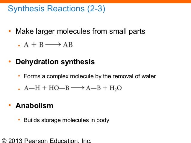 dehydration synthesis equation dehydration synthesis equation