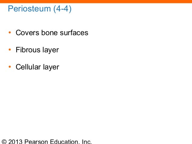 163 ch 04_lecture_presentation