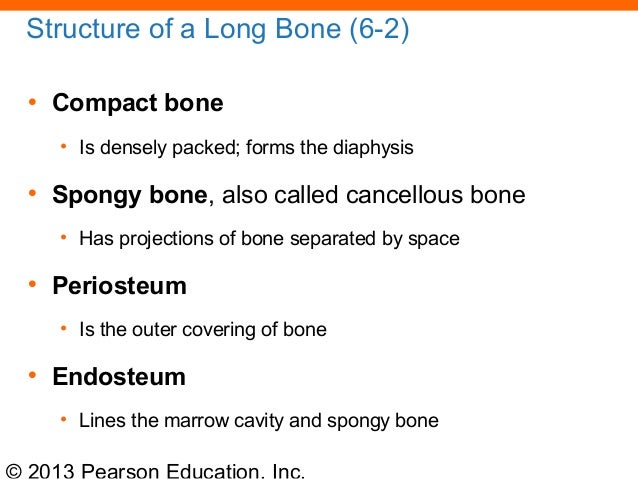 163 ch 06_lecture_presentation