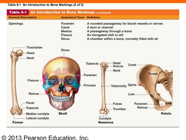 163 ch 06_lecture_presentation