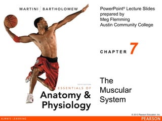 © 2013 Pearson Education, Inc.
PowerPoint®
Lecture Slides
prepared by
Meg Flemming
Austin Community College
C H A P T E R
The
Muscular
System
7
 
