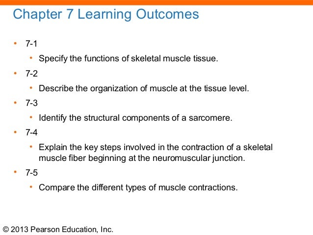 163 Ch 07 Lecture Presentation
