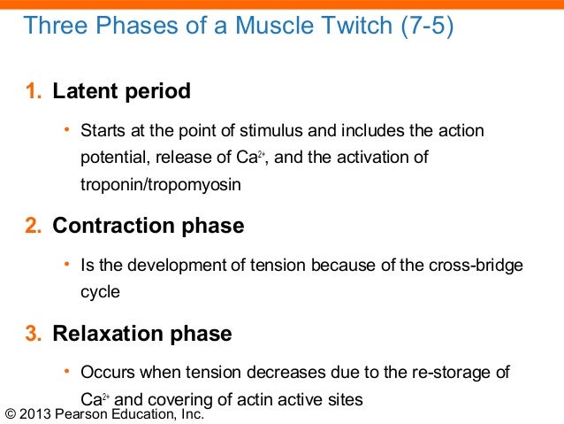 Latent Phase Of Muscle Twitch : When Should I Worry About Muscle ...