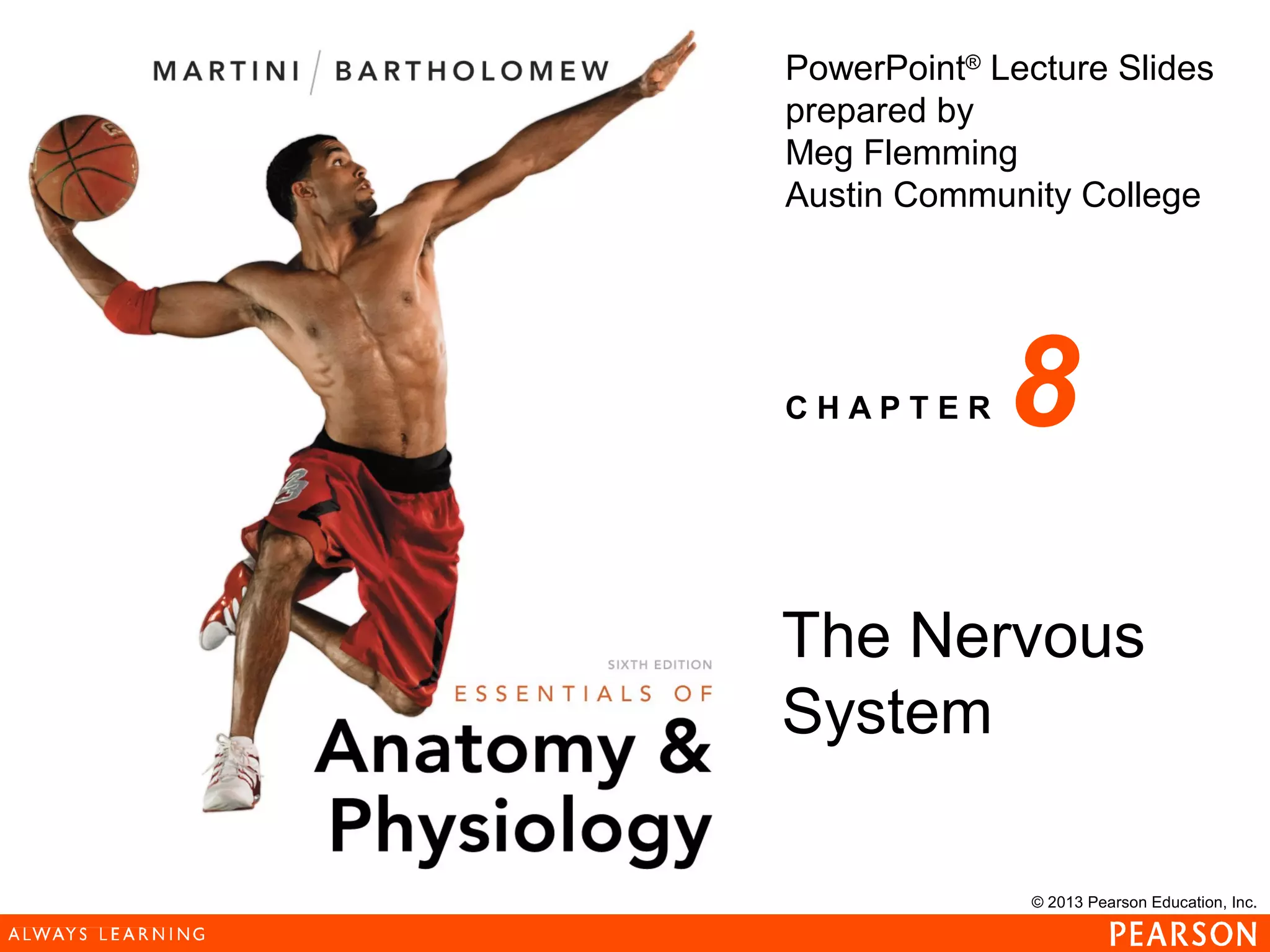 © 2013 Pearson Education, Inc.
PowerPoint®
Lecture Slides
prepared by
Meg Flemming
Austin Community College
C H A P T E R 8
The Nervous
System
 