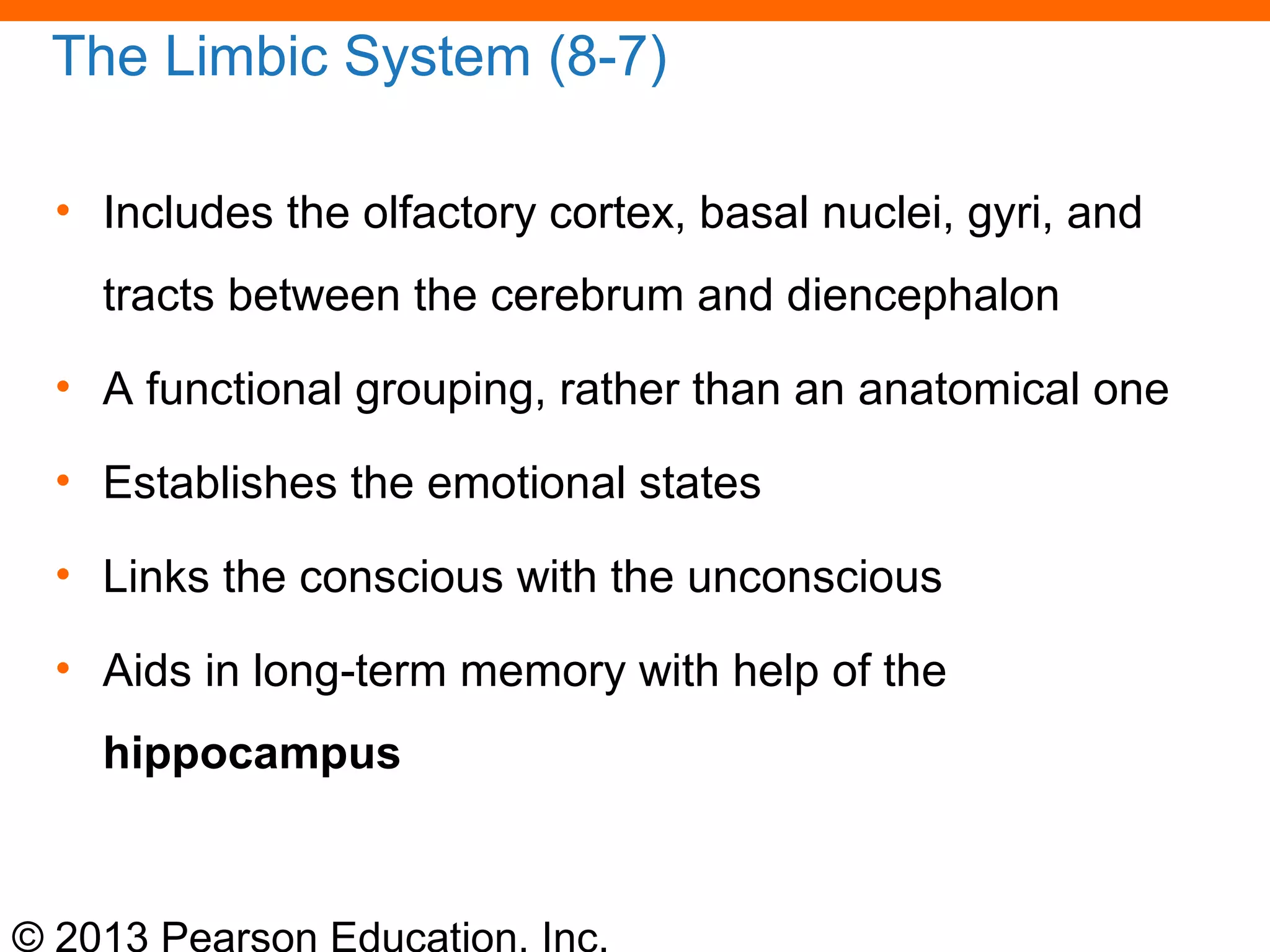 © 2013 Pearson Education, Inc.
The Limbic System (8-7)
• Includes the olfactory cortex, basal nuclei, gyri, and
tracts between the cerebrum and diencephalon
• A functional grouping, rather than an anatomical one
• Establishes the emotional states
• Links the conscious with the unconscious
• Aids in long-term memory with help of the
hippocampus
 