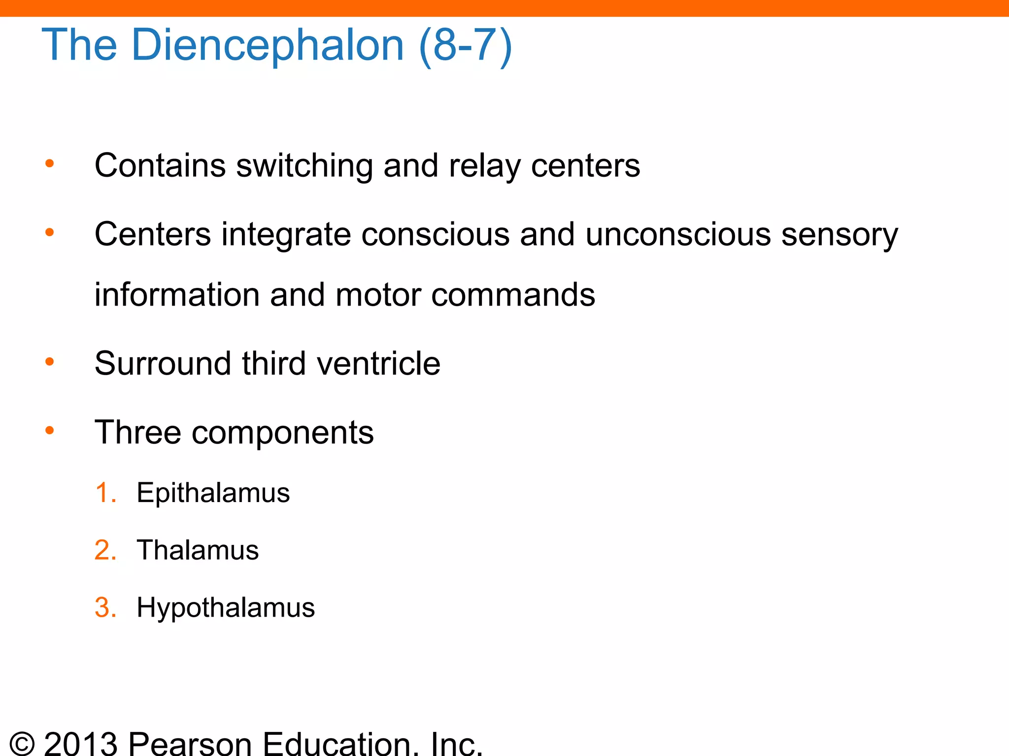 © 2013 Pearson Education, Inc.
The Diencephalon (8-7)
• Contains switching and relay centers
• Centers integrate conscious and unconscious sensory
information and motor commands
• Surround third ventricle
• Three components
1. Epithalamus
2. Thalamus
3. Hypothalamus
 