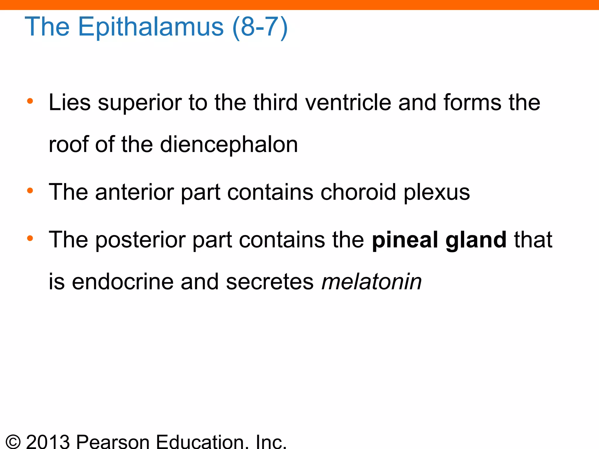 © 2013 Pearson Education, Inc.
The Epithalamus (8-7)
• Lies superior to the third ventricle and forms the
roof of the diencephalon
• The anterior part contains choroid plexus
• The posterior part contains the pineal gland that
is endocrine and secretes melatonin
 