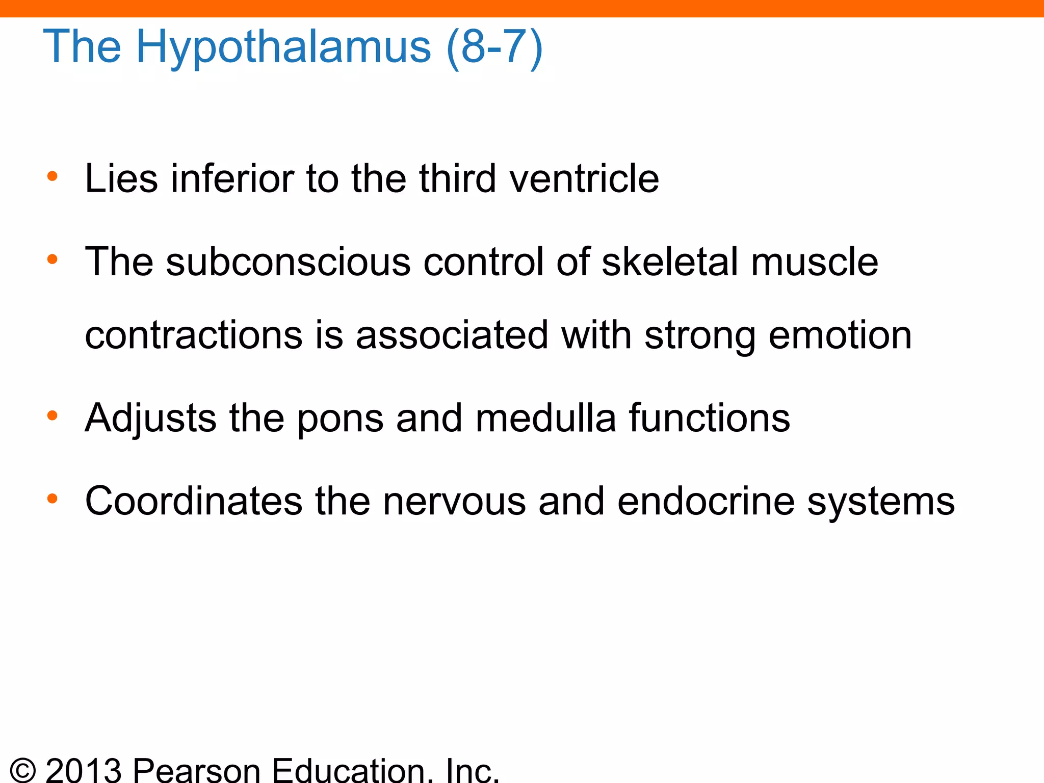 © 2013 Pearson Education, Inc.
The Hypothalamus (8-7)
• Lies inferior to the third ventricle
• The subconscious control of skeletal muscle
contractions is associated with strong emotion
• Adjusts the pons and medulla functions
• Coordinates the nervous and endocrine systems
 