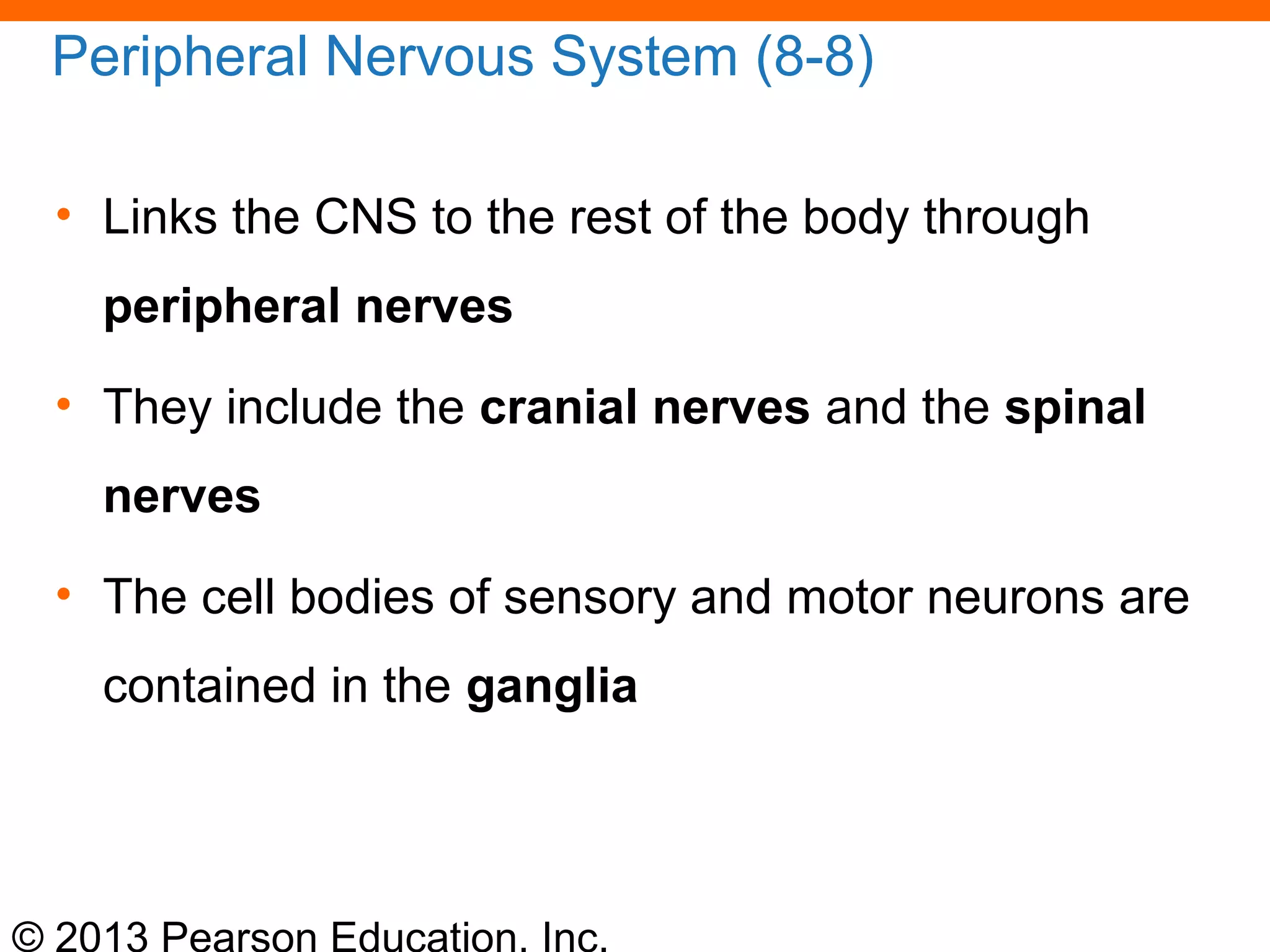 © 2013 Pearson Education, Inc.
Peripheral Nervous System (8-8)
• Links the CNS to the rest of the body through
peripheral nerves
• They include the cranial nerves and the spinal
nerves
• The cell bodies of sensory and motor neurons are
contained in the ganglia
 