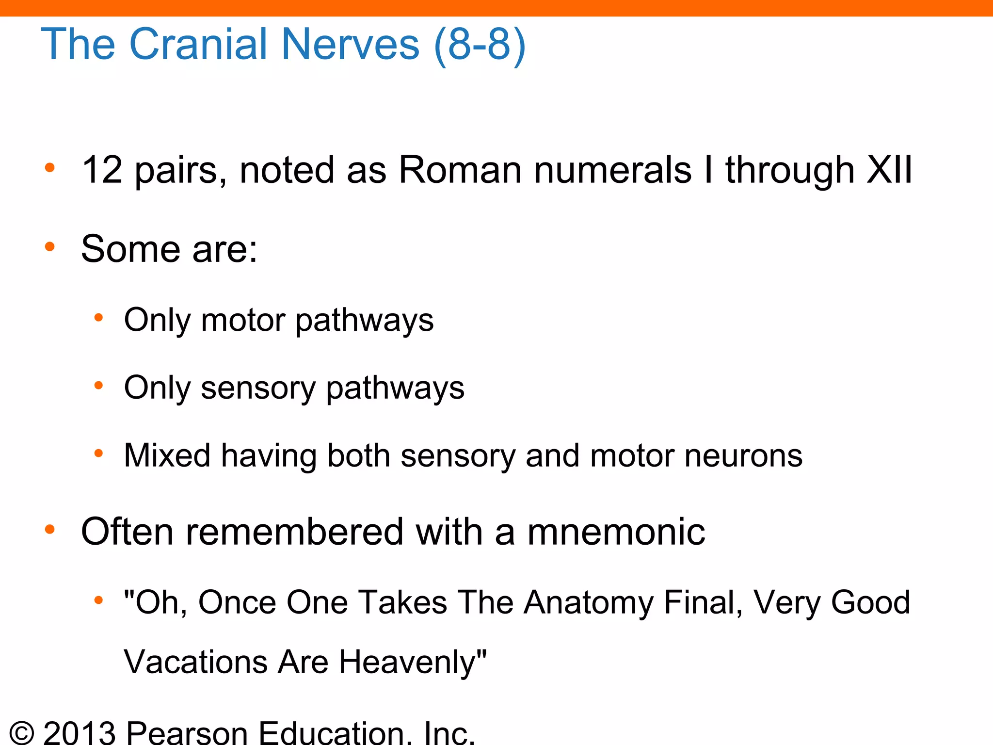 © 2013 Pearson Education, Inc.
The Cranial Nerves (8-8)
• 12 pairs, noted as Roman numerals I through XII
• Some are:
• Only motor pathways
• Only sensory pathways
• Mixed having both sensory and motor neurons
• Often remembered with a mnemonic
• "Oh, Once One Takes The Anatomy Final, Very Good
Vacations Are Heavenly"
 