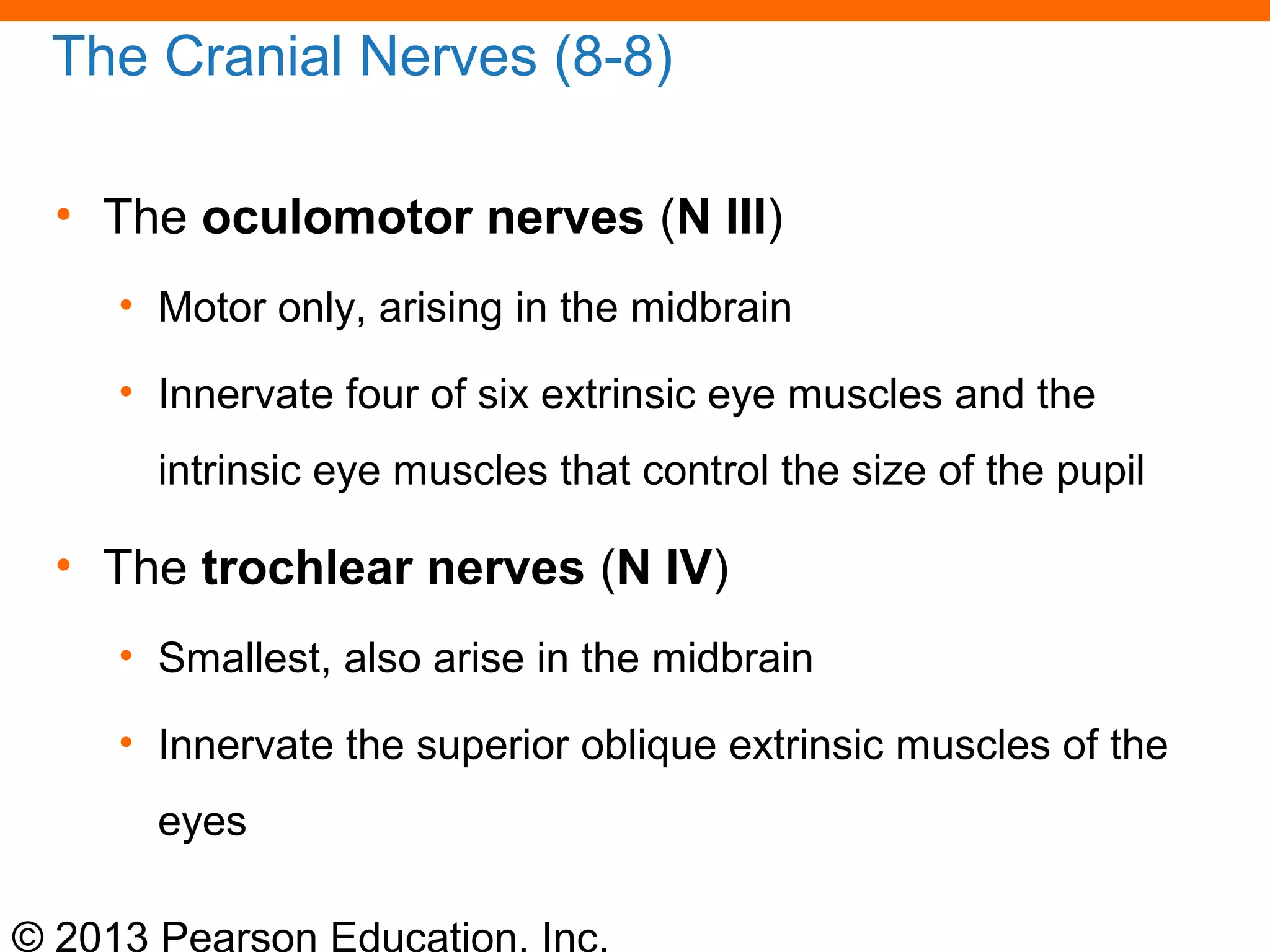 © 2013 Pearson Education, Inc.
The Cranial Nerves (8-8)
• The oculomotor nerves (N III)
• Motor only, arising in the midbrain
• Innervate four of six extrinsic eye muscles and the
intrinsic eye muscles that control the size of the pupil
• The trochlear nerves (N IV)
• Smallest, also arise in the midbrain
• Innervate the superior oblique extrinsic muscles of the
eyes
 