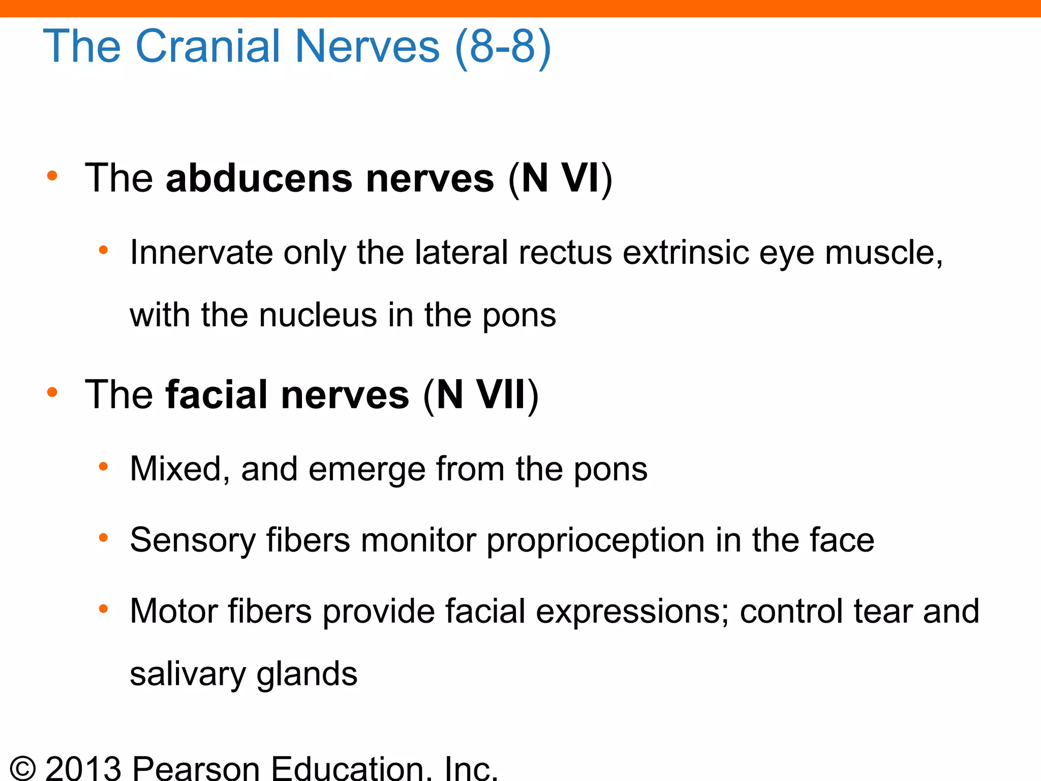 © 2013 Pearson Education, Inc.
The Cranial Nerves (8-8)
• The abducens nerves (N VI)
• Innervate only the lateral rectus extrinsic eye muscle,
with the nucleus in the pons
• The facial nerves (N VII)
• Mixed, and emerge from the pons
• Sensory fibers monitor proprioception in the face
• Motor fibers provide facial expressions; control tear and
salivary glands
 