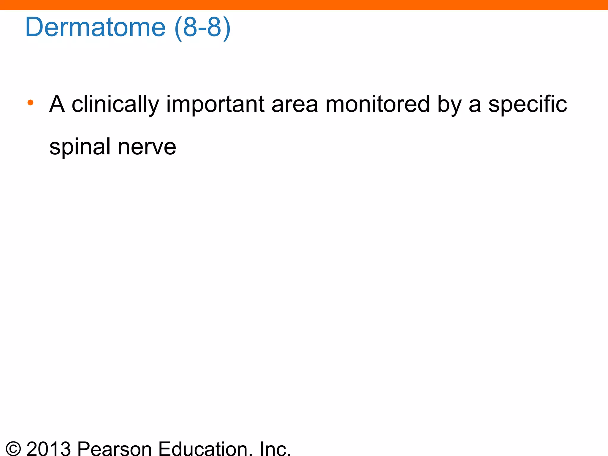 © 2013 Pearson Education, Inc.
Dermatome (8-8)
• A clinically important area monitored by a specific
spinal nerve
 