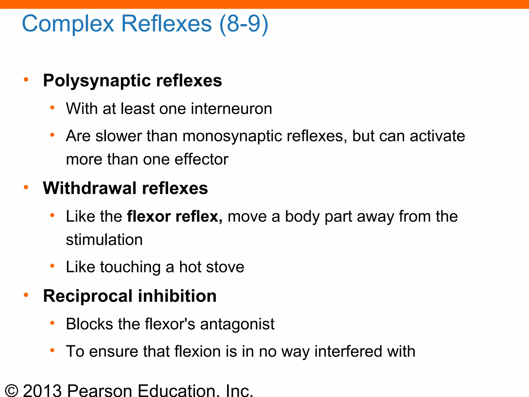 © 2013 Pearson Education, Inc.
Complex Reflexes (8-9)
• Polysynaptic reflexes
• With at least one interneuron
• Are slower than monosynaptic reflexes, but can activate
more than one effector
• Withdrawal reflexes
• Like the flexor reflex, move a body part away from the
stimulation
• Like touching a hot stove
• Reciprocal inhibition
• Blocks the flexor's antagonist
• To ensure that flexion is in no way interfered with
 