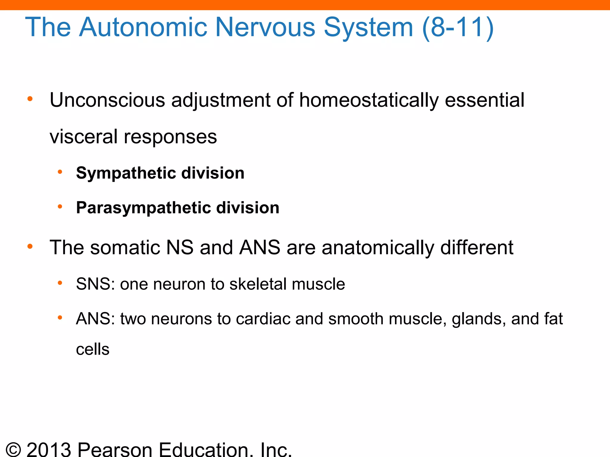 © 2013 Pearson Education, Inc.
The Autonomic Nervous System (8-11)
• Unconscious adjustment of homeostatically essential
visceral responses
• Sympathetic division
• Parasympathetic division
• The somatic NS and ANS are anatomically different
• SNS: one neuron to skeletal muscle
• ANS: two neurons to cardiac and smooth muscle, glands, and fat
cells
 