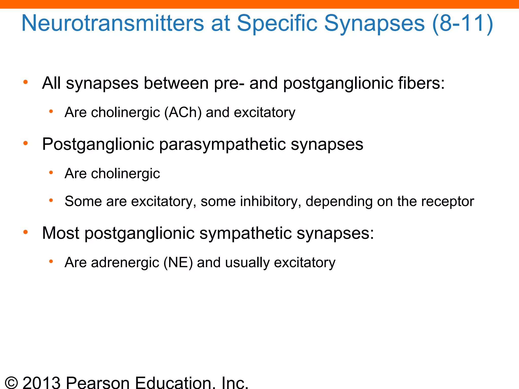 © 2013 Pearson Education, Inc.
Neurotransmitters at Specific Synapses (8-11)
• All synapses between pre- and postganglionic fibers:
• Are cholinergic (ACh) and excitatory
• Postganglionic parasympathetic synapses
• Are cholinergic
• Some are excitatory, some inhibitory, depending on the receptor
• Most postganglionic sympathetic synapses:
• Are adrenergic (NE) and usually excitatory
 