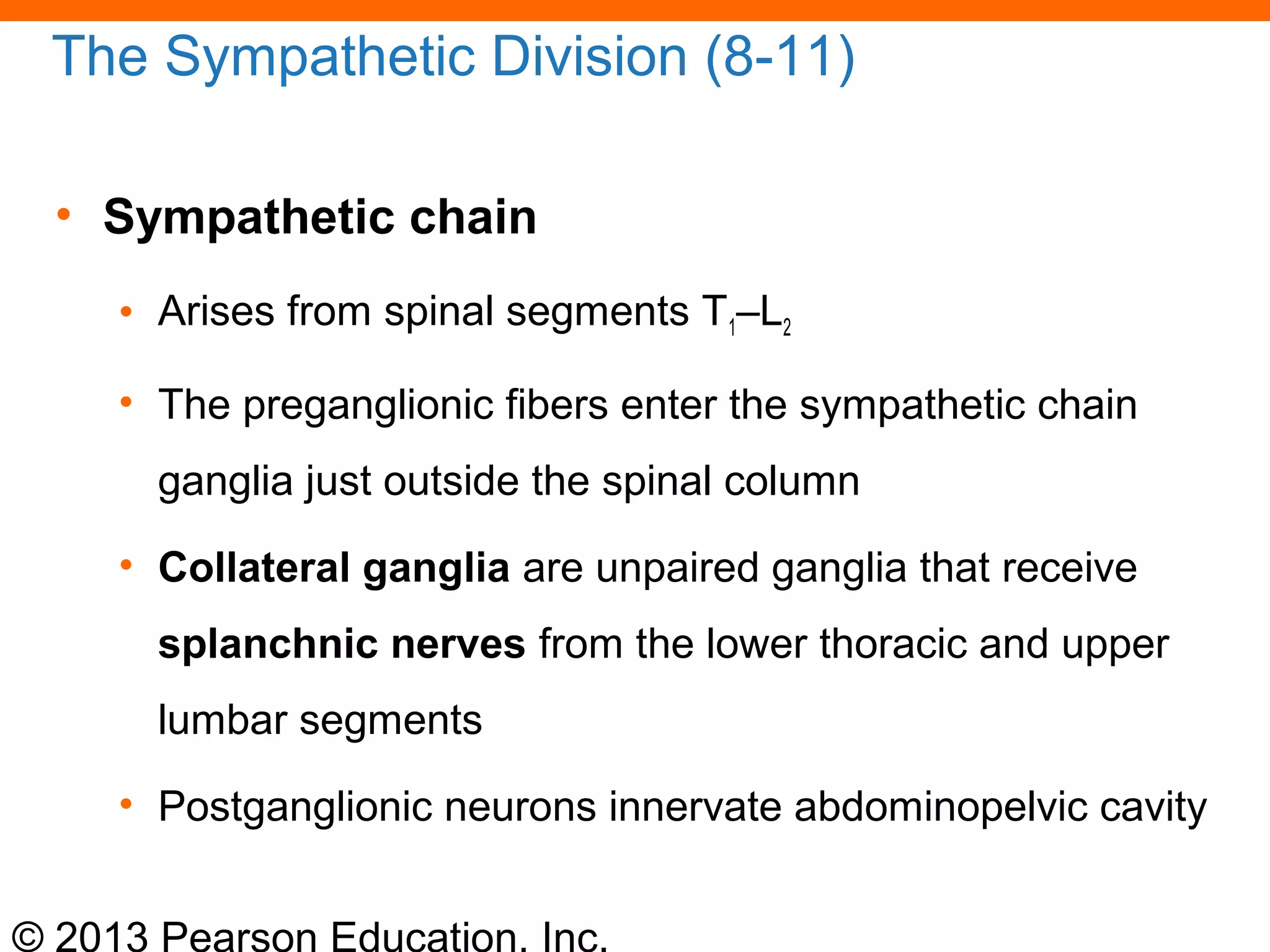 © 2013 Pearson Education, Inc.
The Sympathetic Division (8-11)
• Sympathetic chain
• Arises from spinal segments T1–L2
• The preganglionic fibers enter the sympathetic chain
ganglia just outside the spinal column
• Collateral ganglia are unpaired ganglia that receive
splanchnic nerves from the lower thoracic and upper
lumbar segments
• Postganglionic neurons innervate abdominopelvic cavity
 