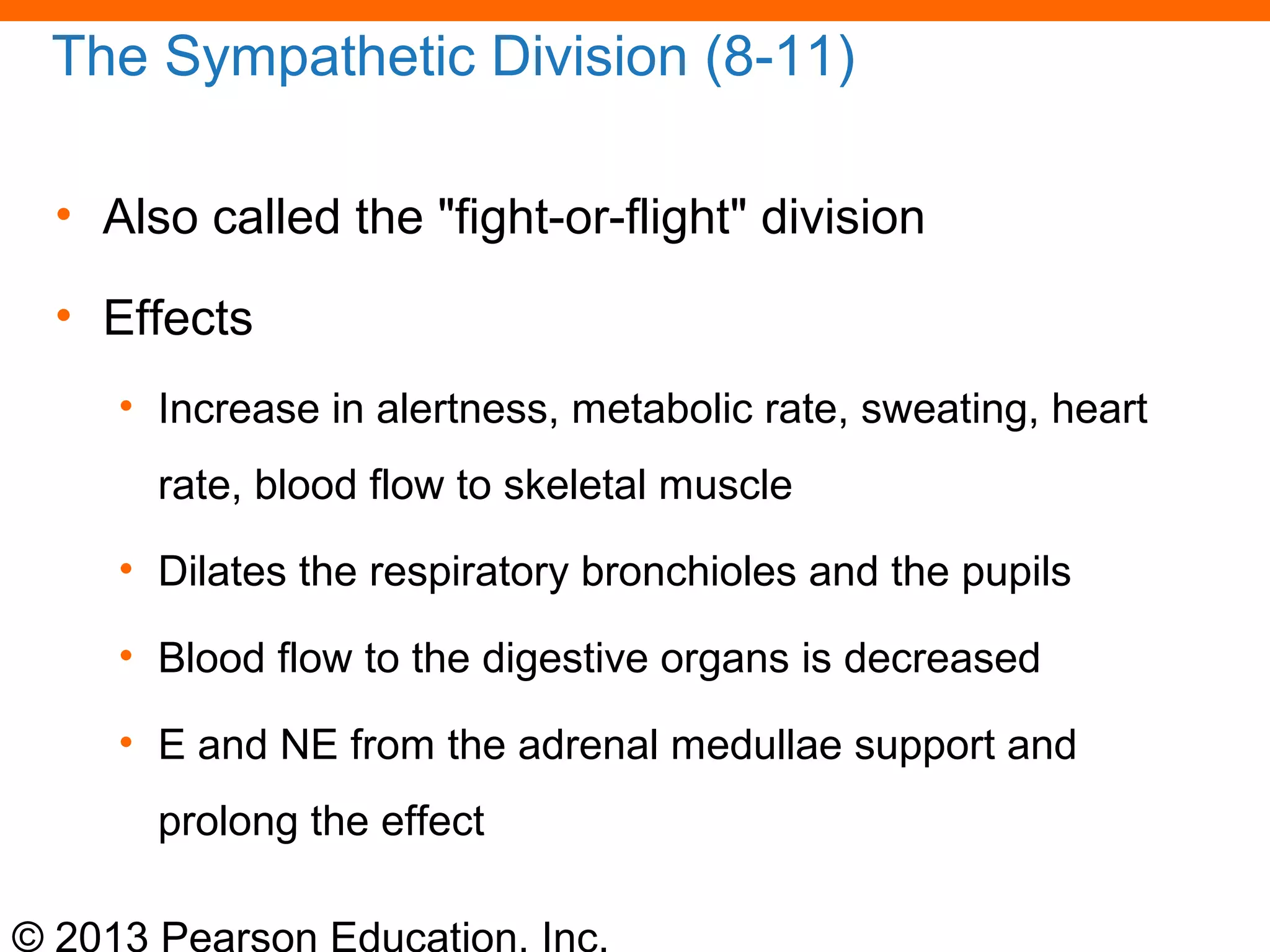 © 2013 Pearson Education, Inc.
The Sympathetic Division (8-11)
• Also called the "fight-or-flight" division
• Effects
• Increase in alertness, metabolic rate, sweating, heart
rate, blood flow to skeletal muscle
• Dilates the respiratory bronchioles and the pupils
• Blood flow to the digestive organs is decreased
• E and NE from the adrenal medullae support and
prolong the effect
 