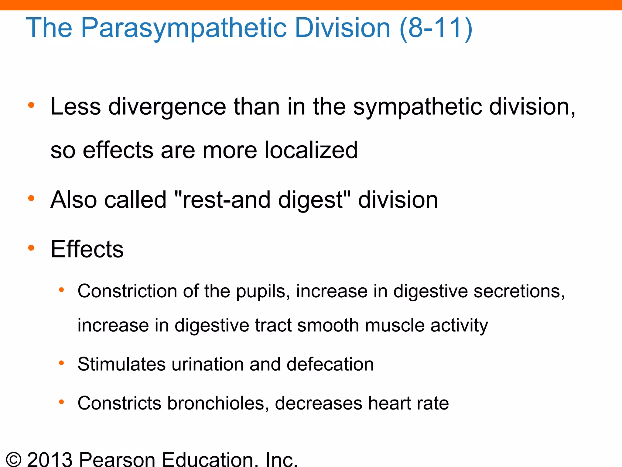 © 2013 Pearson Education, Inc.
The Parasympathetic Division (8-11)
• Less divergence than in the sympathetic division,
so effects are more localized
• Also called "rest-and digest" division
• Effects
• Constriction of the pupils, increase in digestive secretions,
increase in digestive tract smooth muscle activity
• Stimulates urination and defecation
• Constricts bronchioles, decreases heart rate
 