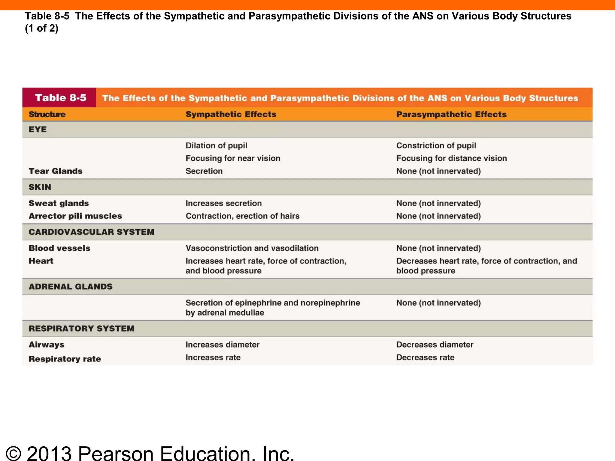 © 2013 Pearson Education, Inc.
Table 8-5 The Effects of the Sympathetic and Parasympathetic Divisions of the ANS on Various Body Structures
(1 of 2)
 