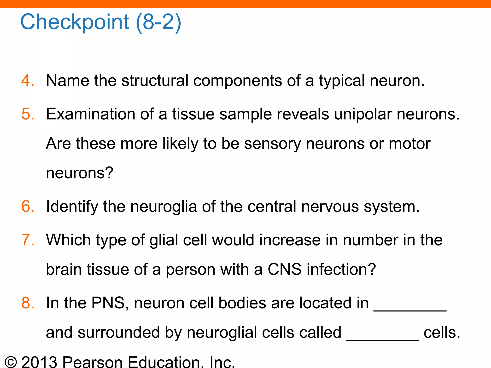 © 2013 Pearson Education, Inc.
Checkpoint (8-2)
4. Name the structural components of a typical neuron.
5. Examination of a tissue sample reveals unipolar neurons.
Are these more likely to be sensory neurons or motor
neurons?
6. Identify the neuroglia of the central nervous system.
7. Which type of glial cell would increase in number in the
brain tissue of a person with a CNS infection?
8. In the PNS, neuron cell bodies are located in ________
and surrounded by neuroglial cells called ________ cells.
 