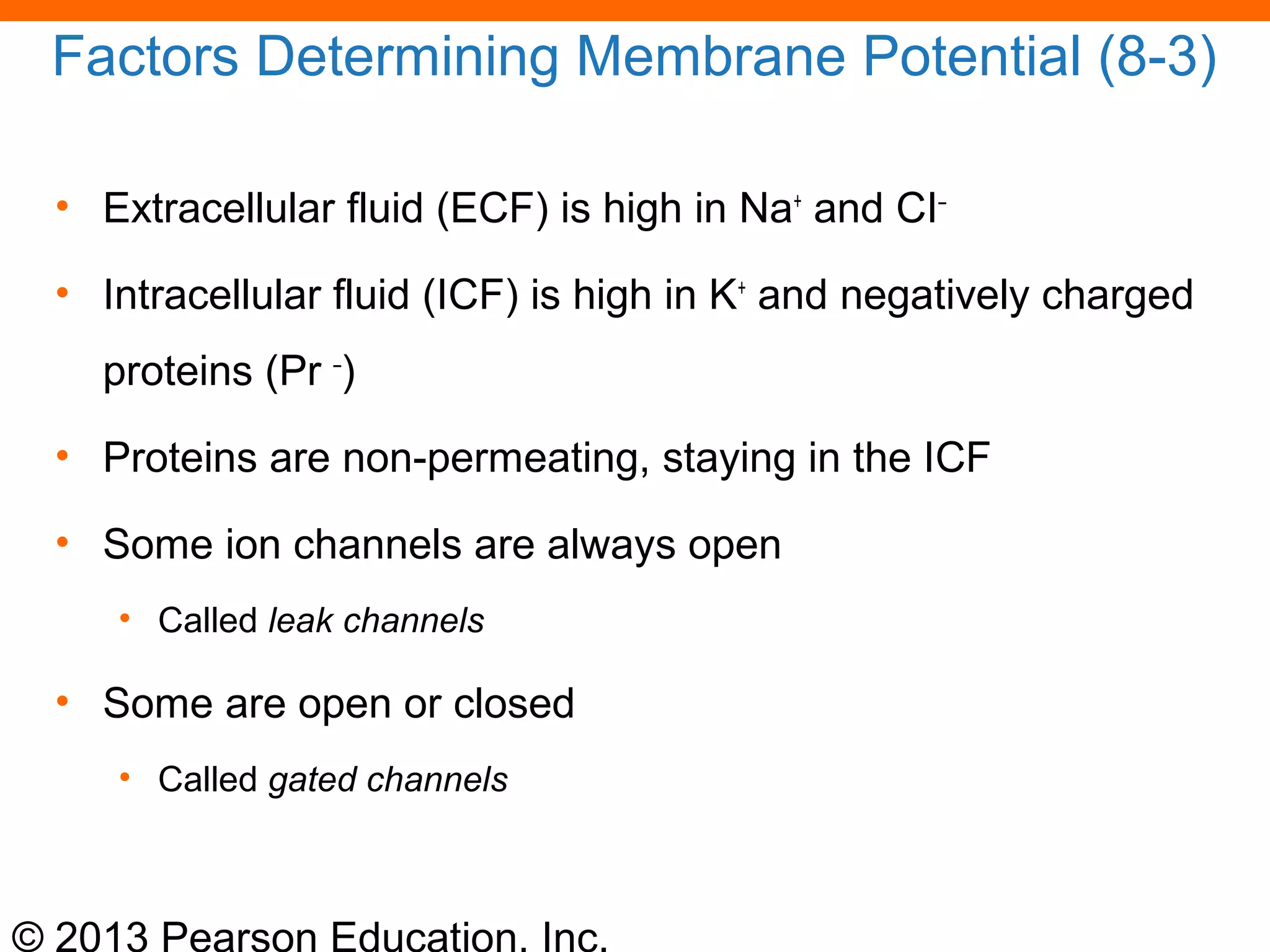 © 2013 Pearson Education, Inc.
Factors Determining Membrane Potential (8-3)
• Extracellular fluid (ECF) is high in Na+
and CI–
• Intracellular fluid (ICF) is high in K+
and negatively charged
proteins (Pr –
)
• Proteins are non-permeating, staying in the ICF
• Some ion channels are always open
• Called leak channels
• Some are open or closed
• Called gated channels
 