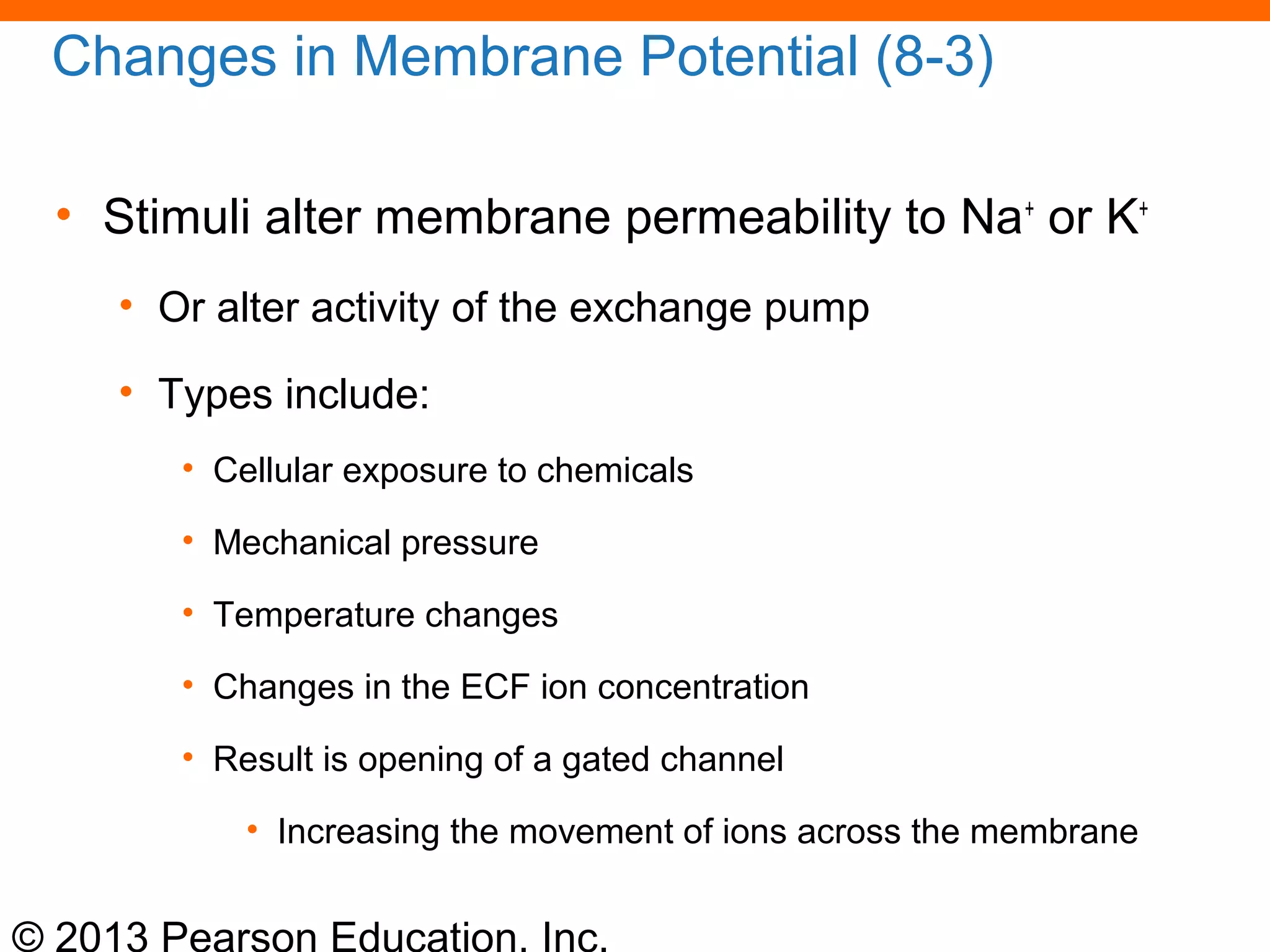 © 2013 Pearson Education, Inc.
Changes in Membrane Potential (8-3)
• Stimuli alter membrane permeability to Na+
or K+
• Or alter activity of the exchange pump
• Types include:
• Cellular exposure to chemicals
• Mechanical pressure
• Temperature changes
• Changes in the ECF ion concentration
• Result is opening of a gated channel
• Increasing the movement of ions across the membrane
 