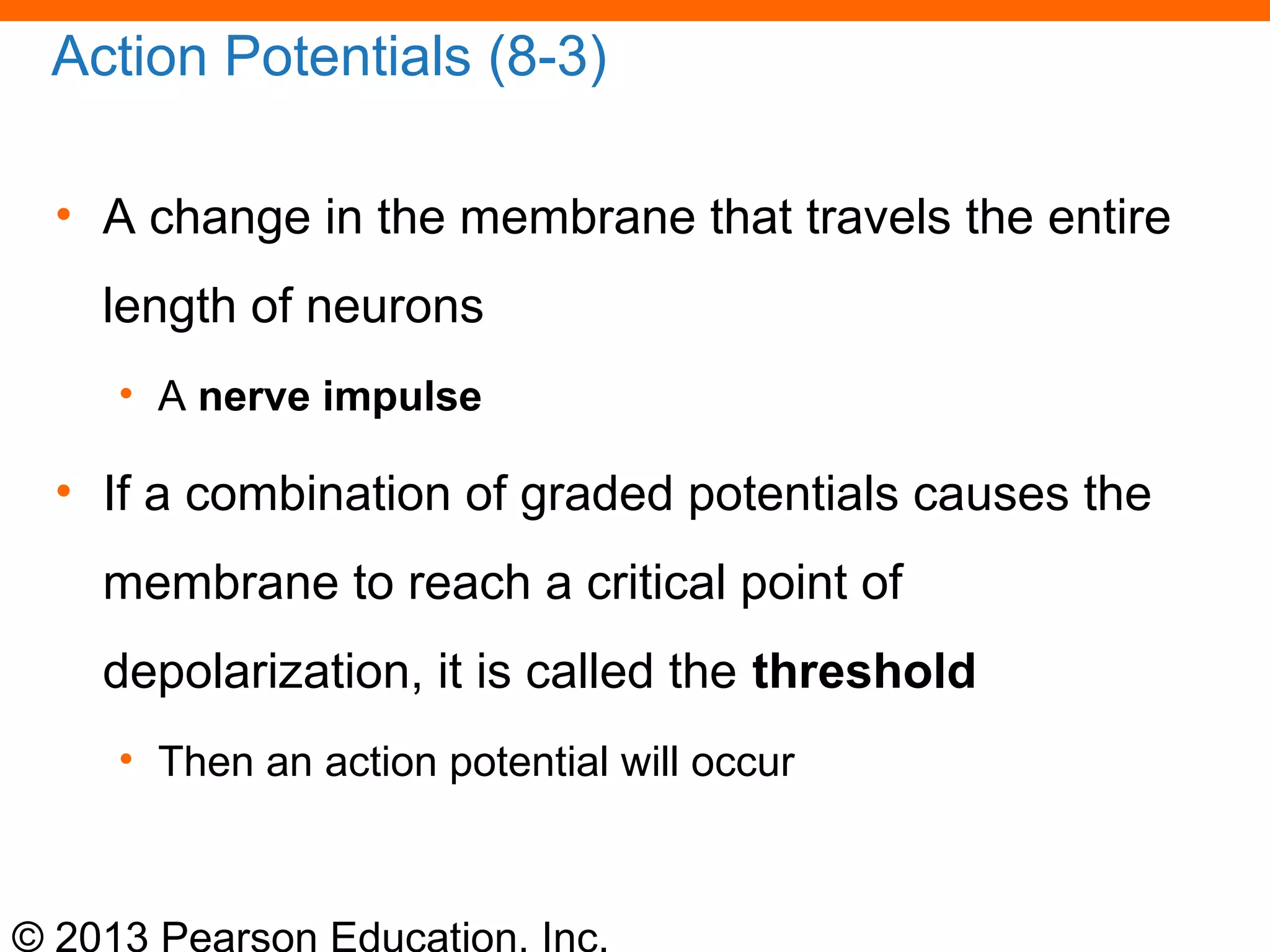 © 2013 Pearson Education, Inc.
Action Potentials (8-3)
• A change in the membrane that travels the entire
length of neurons
• A nerve impulse
• If a combination of graded potentials causes the
membrane to reach a critical point of
depolarization, it is called the threshold
• Then an action potential will occur
 