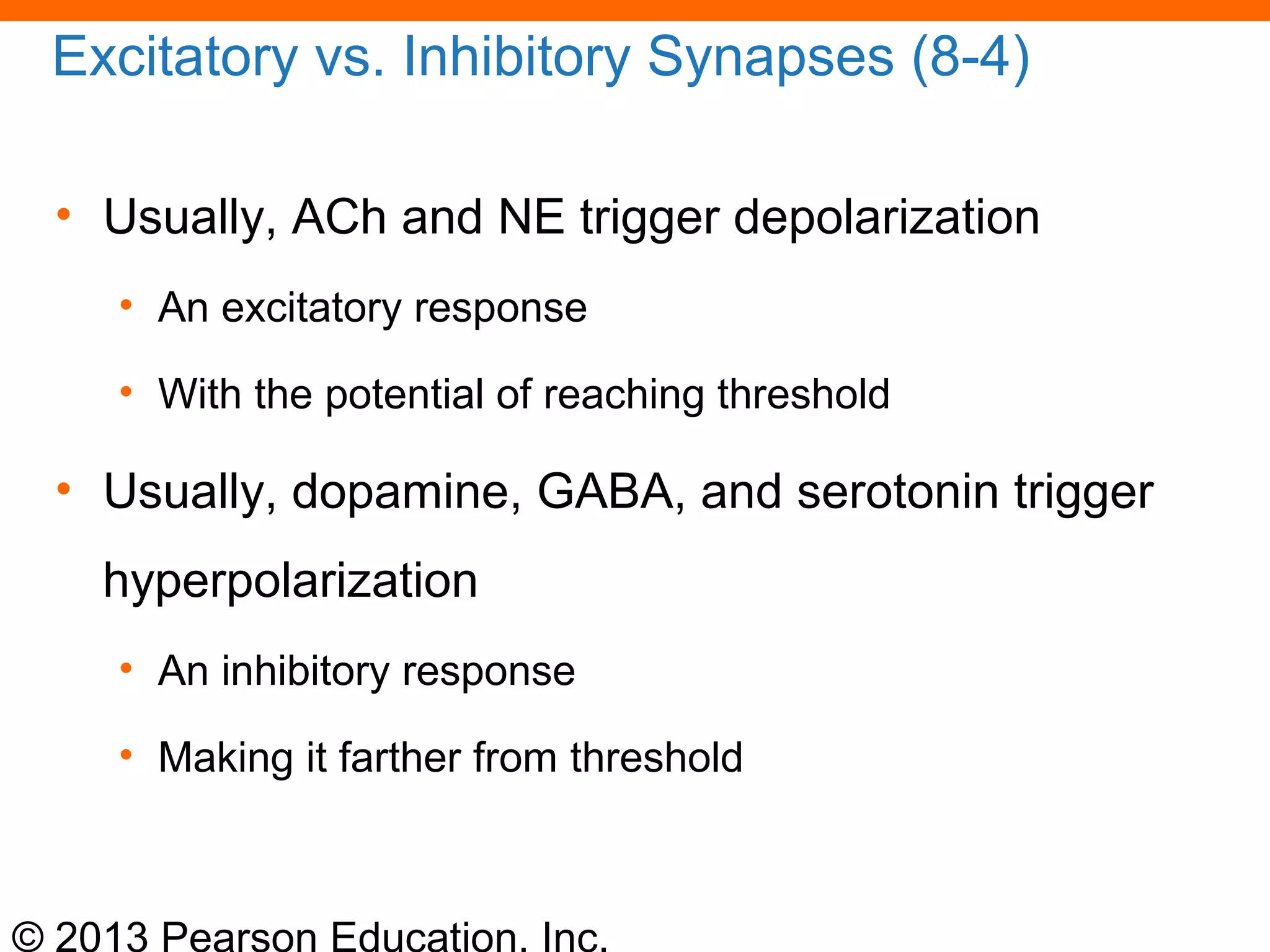 © 2013 Pearson Education, Inc.
Excitatory vs. Inhibitory Synapses (8-4)
• Usually, ACh and NE trigger depolarization
• An excitatory response
• With the potential of reaching threshold
• Usually, dopamine, GABA, and serotonin trigger
hyperpolarization
• An inhibitory response
• Making it farther from threshold
 