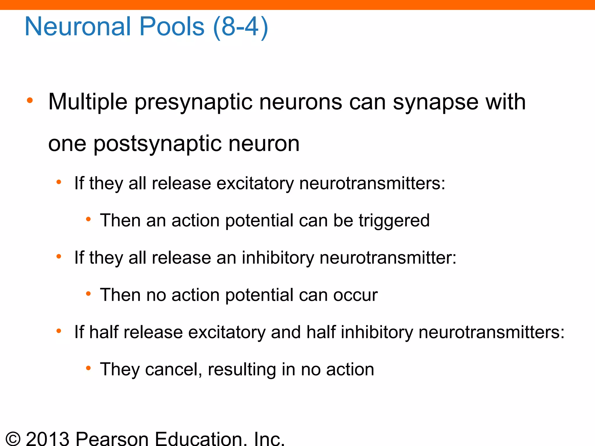 © 2013 Pearson Education, Inc.
Neuronal Pools (8-4)
• Multiple presynaptic neurons can synapse with
one postsynaptic neuron
• If they all release excitatory neurotransmitters:
• Then an action potential can be triggered
• If they all release an inhibitory neurotransmitter:
• Then no action potential can occur
• If half release excitatory and half inhibitory neurotransmitters:
• They cancel, resulting in no action
 