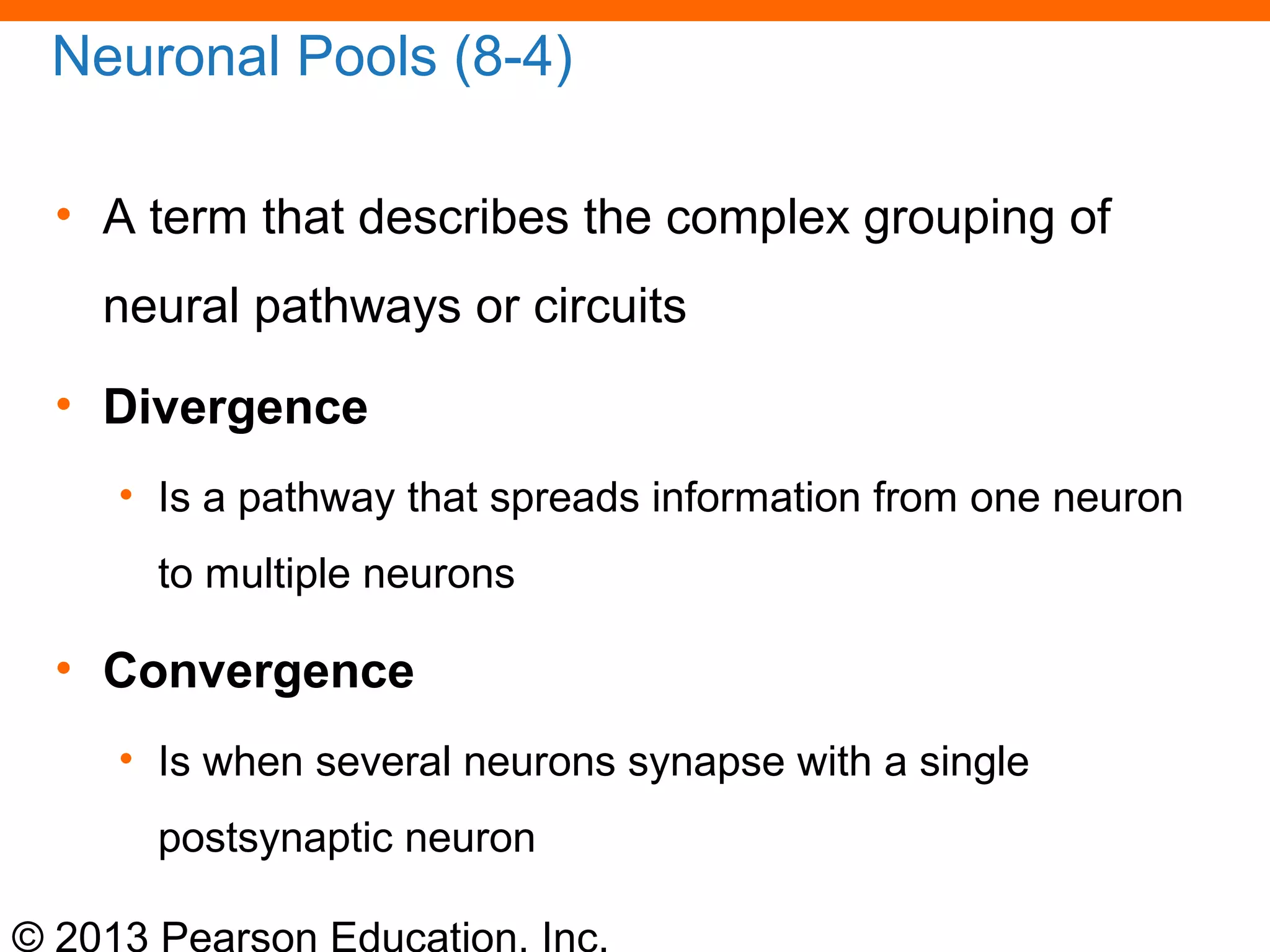 © 2013 Pearson Education, Inc.
Neuronal Pools (8-4)
• A term that describes the complex grouping of
neural pathways or circuits
• Divergence
• Is a pathway that spreads information from one neuron
to multiple neurons
• Convergence
• Is when several neurons synapse with a single
postsynaptic neuron
 