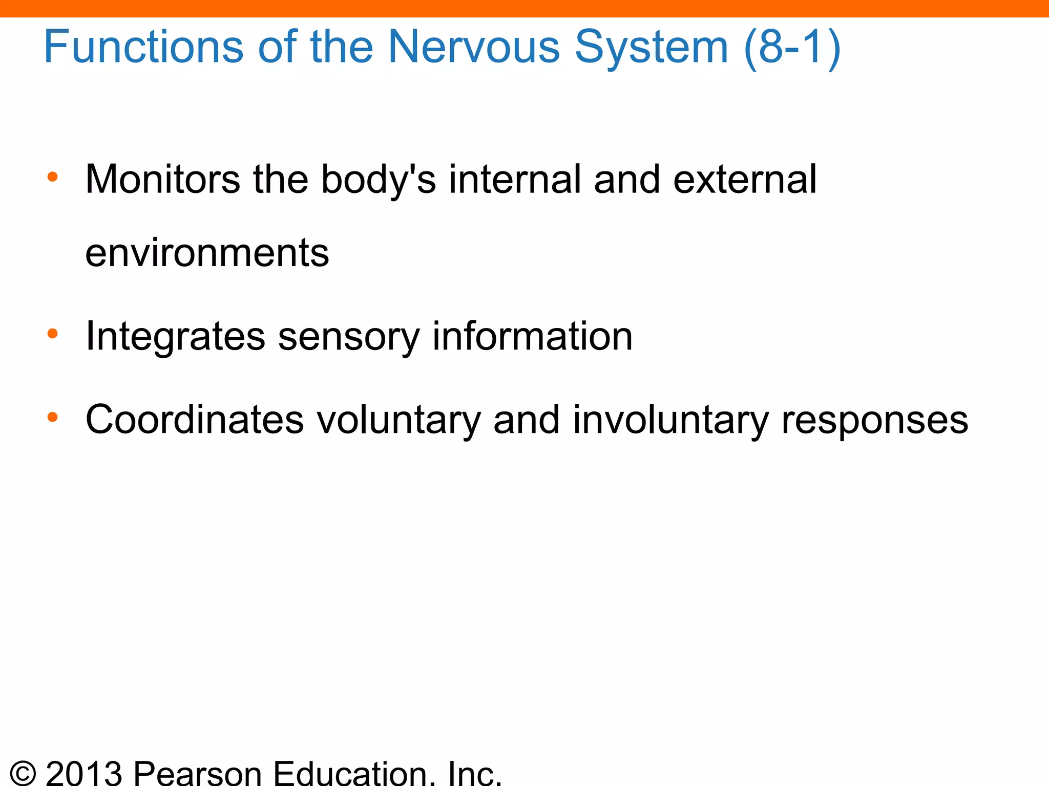 © 2013 Pearson Education, Inc.
Functions of the Nervous System (8-1)
• Monitors the body's internal and external
environments
• Integrates sensory information
• Coordinates voluntary and involuntary responses
 