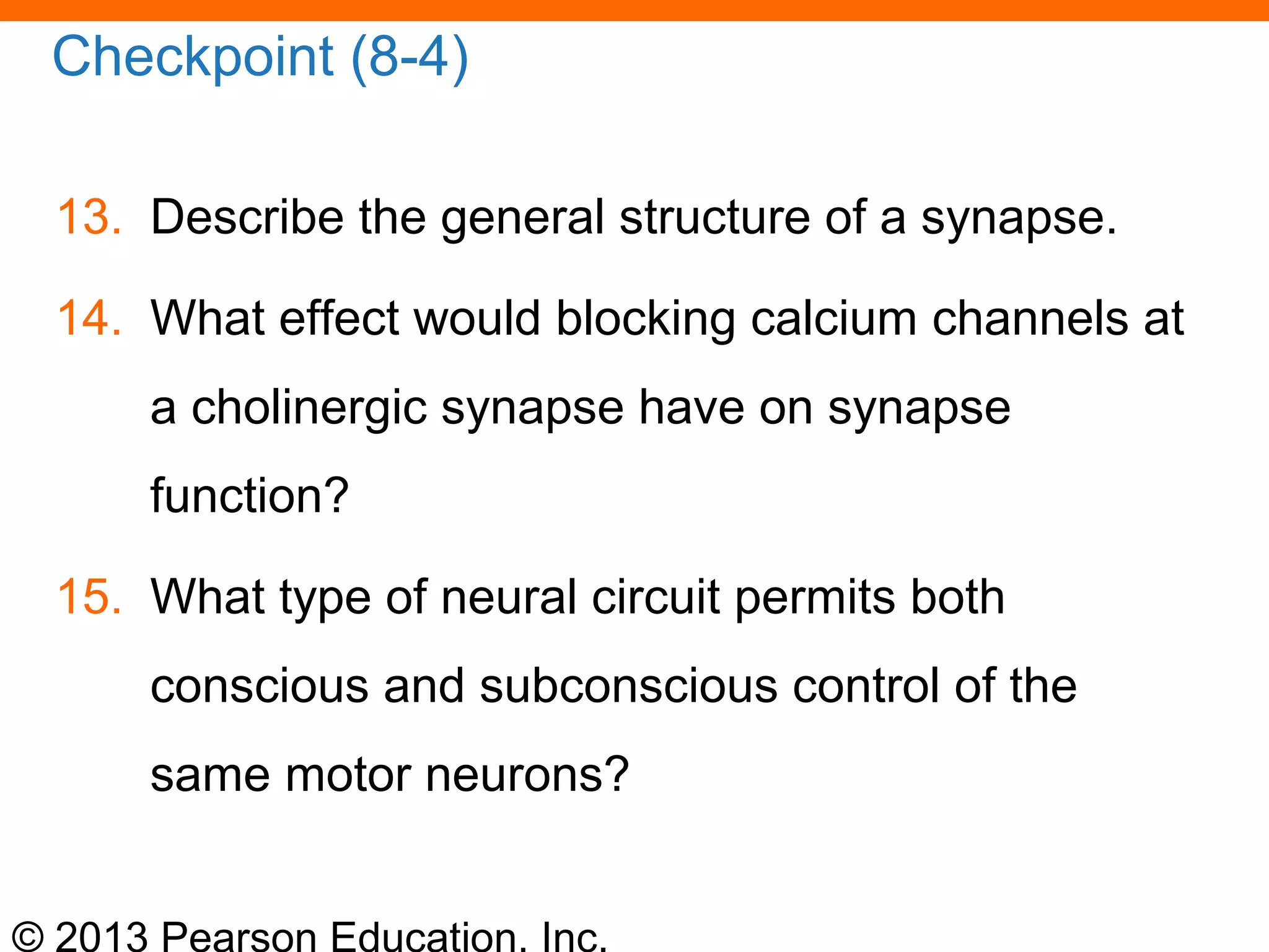 © 2013 Pearson Education, Inc.
Checkpoint (8-4)
13. Describe the general structure of a synapse.
14. What effect would blocking calcium channels at
a cholinergic synapse have on synapse
function?
15. What type of neural circuit permits both
conscious and subconscious control of the
same motor neurons?
 
