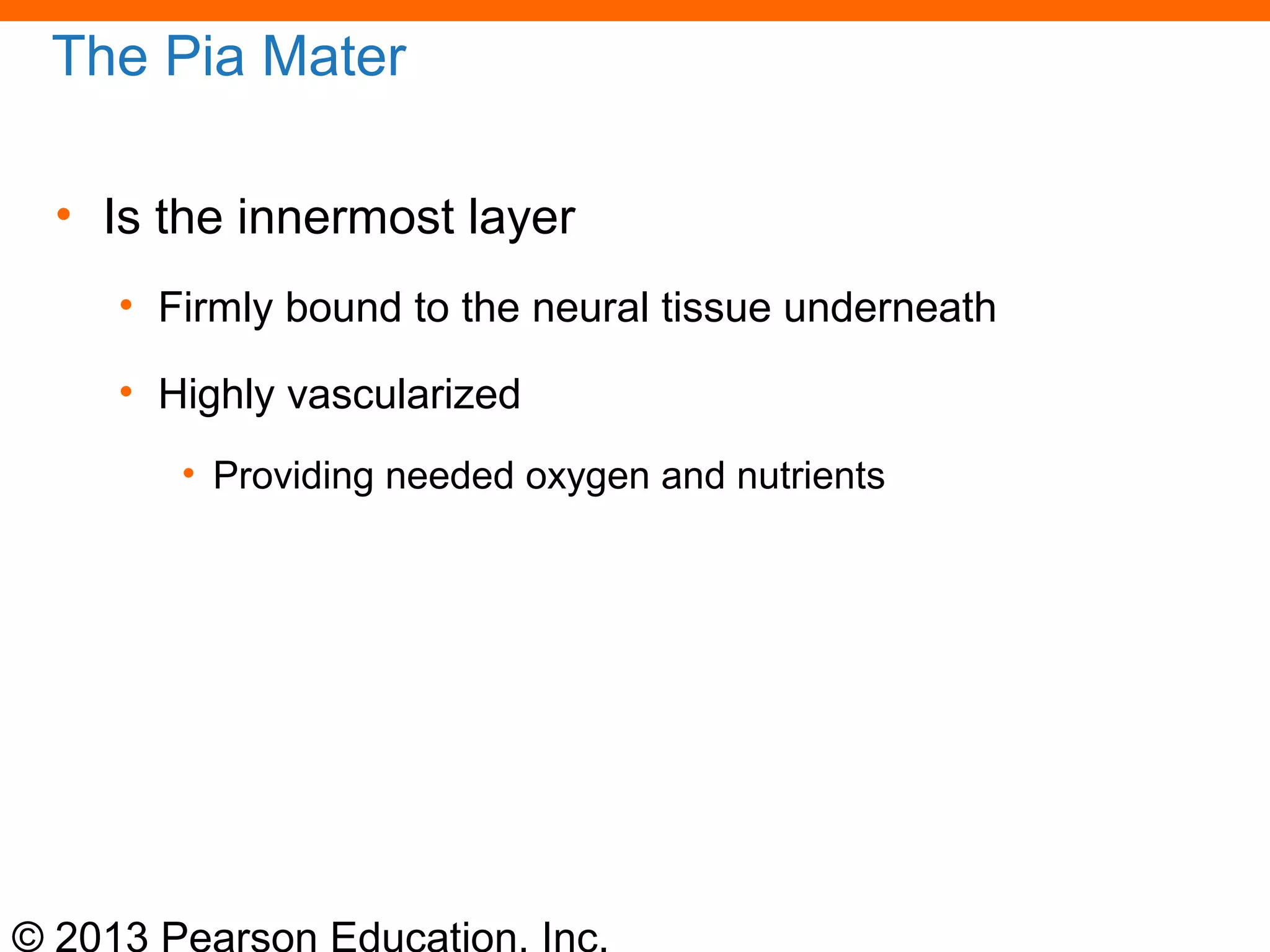© 2013 Pearson Education, Inc.
The Pia Mater
• Is the innermost layer
• Firmly bound to the neural tissue underneath
• Highly vascularized
• Providing needed oxygen and nutrients
 