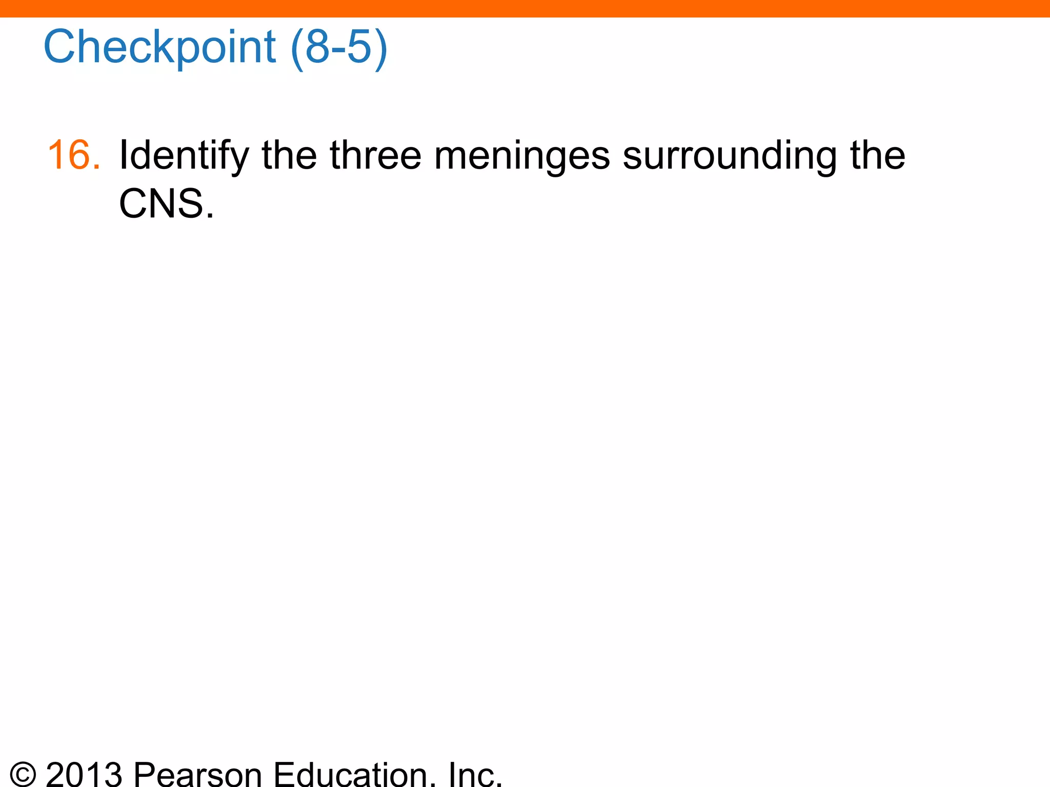 © 2013 Pearson Education, Inc.
Checkpoint (8-5)
16. Identify the three meninges surrounding the
CNS.
 