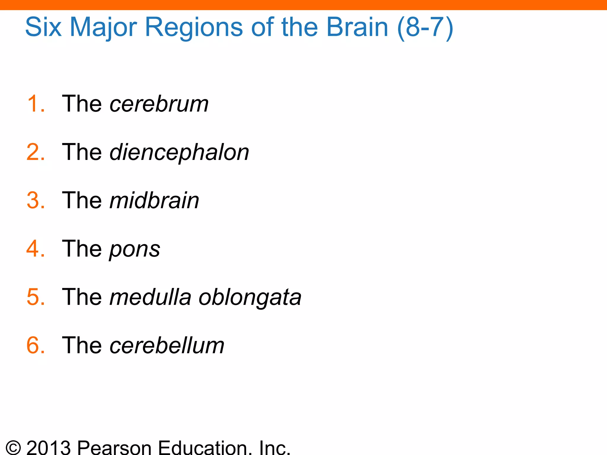 © 2013 Pearson Education, Inc.
Six Major Regions of the Brain (8-7)
1. The cerebrum
2. The diencephalon
3. The midbrain
4. The pons
5. The medulla oblongata
6. The cerebellum
 