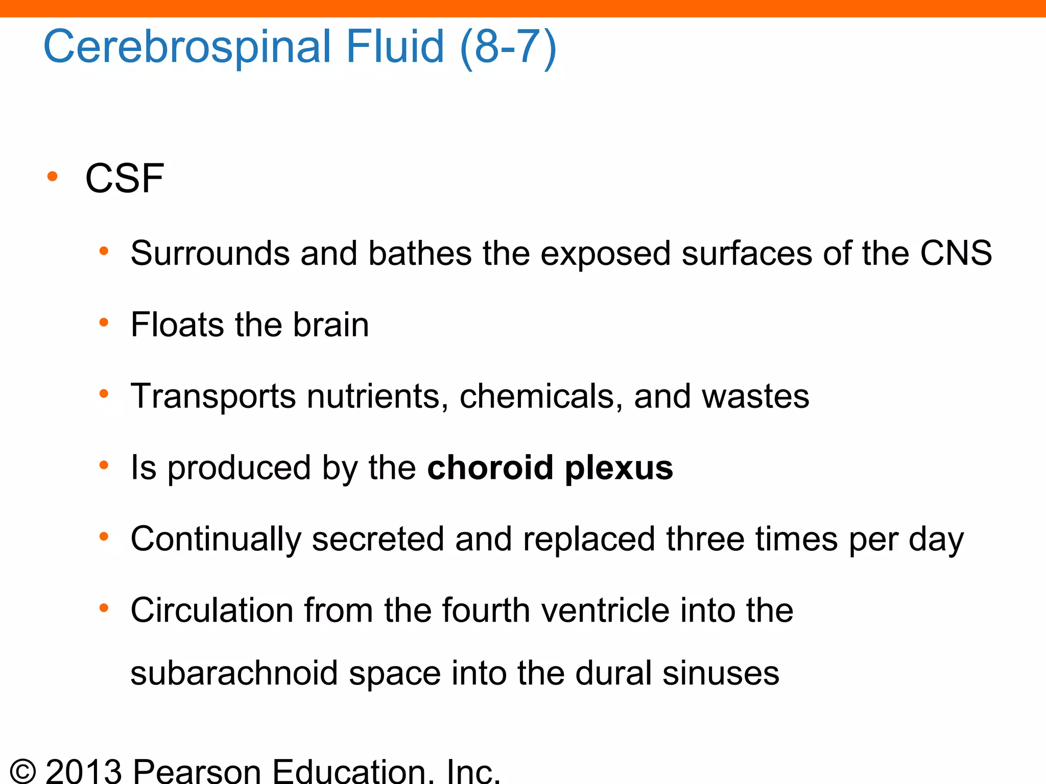 © 2013 Pearson Education, Inc.
Cerebrospinal Fluid (8-7)
• CSF
• Surrounds and bathes the exposed surfaces of the CNS
• Floats the brain
• Transports nutrients, chemicals, and wastes
• Is produced by the choroid plexus
• Continually secreted and replaced three times per day
• Circulation from the fourth ventricle into the
subarachnoid space into the dural sinuses
 