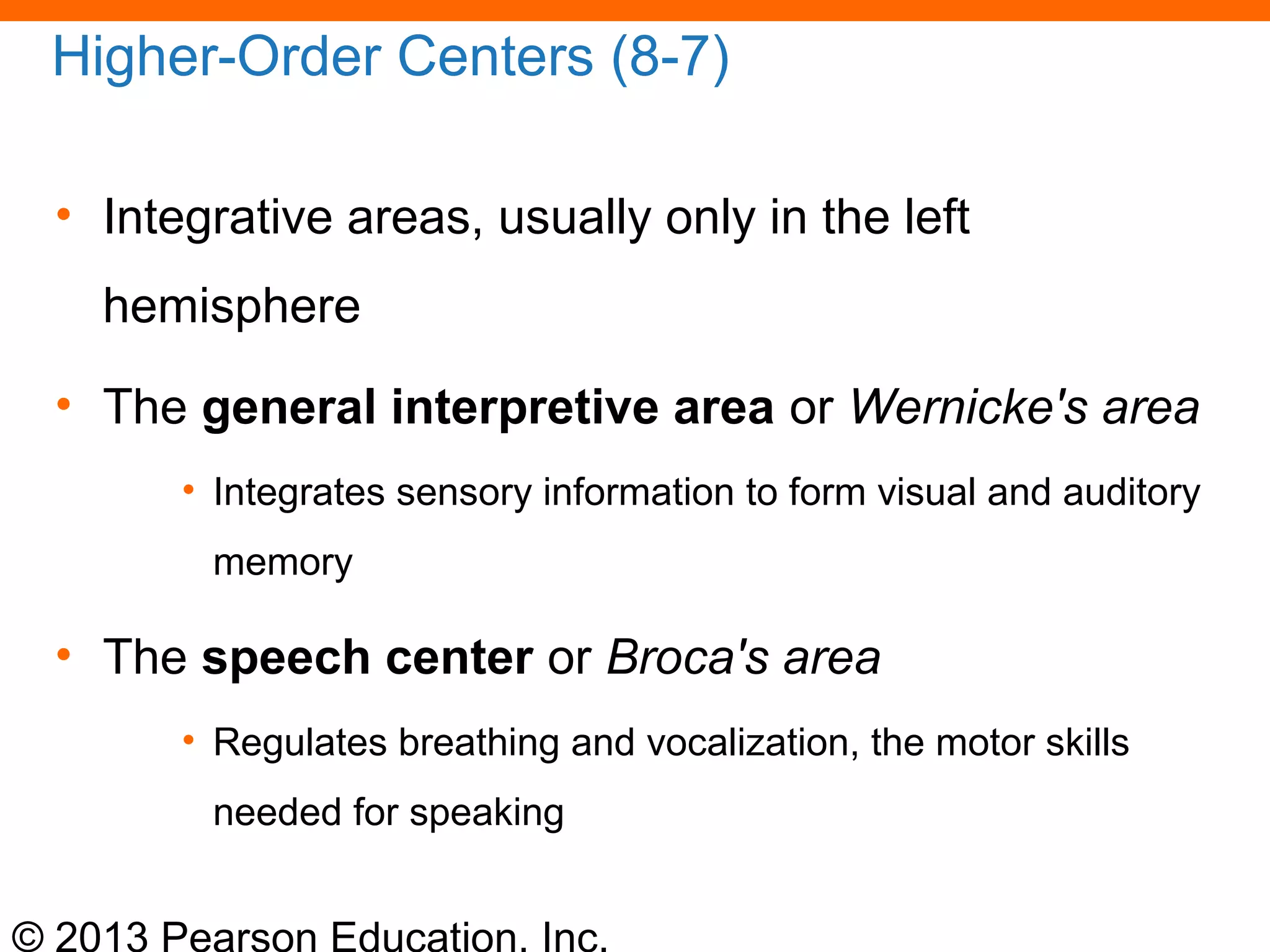 © 2013 Pearson Education, Inc.
Higher-Order Centers (8-7)
• Integrative areas, usually only in the left
hemisphere
• The general interpretive area or Wernicke's area
• Integrates sensory information to form visual and auditory
memory
• The speech center or Broca's area
• Regulates breathing and vocalization, the motor skills
needed for speaking
 
