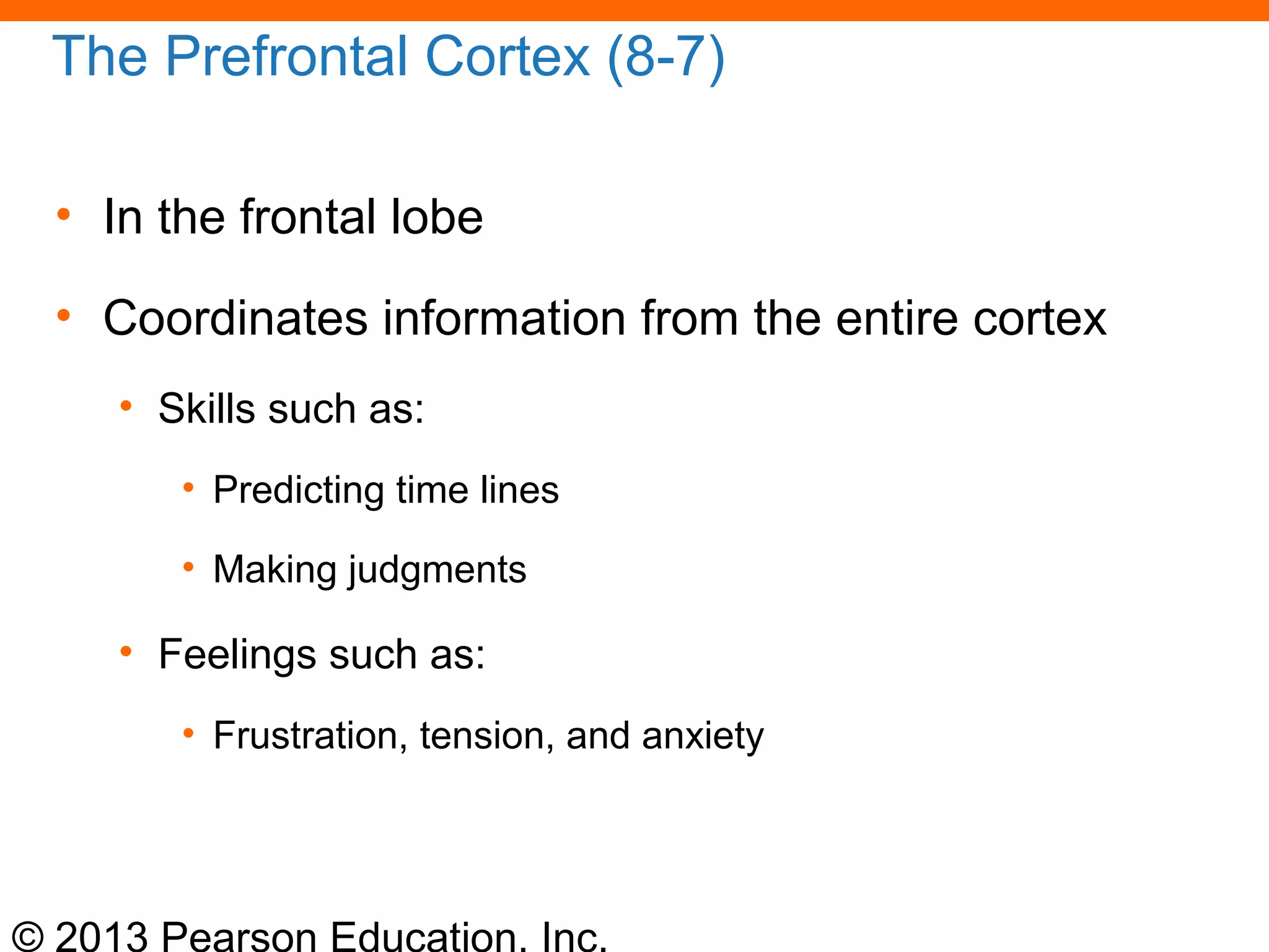 © 2013 Pearson Education, Inc.
The Prefrontal Cortex (8-7)
• In the frontal lobe
• Coordinates information from the entire cortex
• Skills such as:
• Predicting time lines
• Making judgments
• Feelings such as:
• Frustration, tension, and anxiety
 